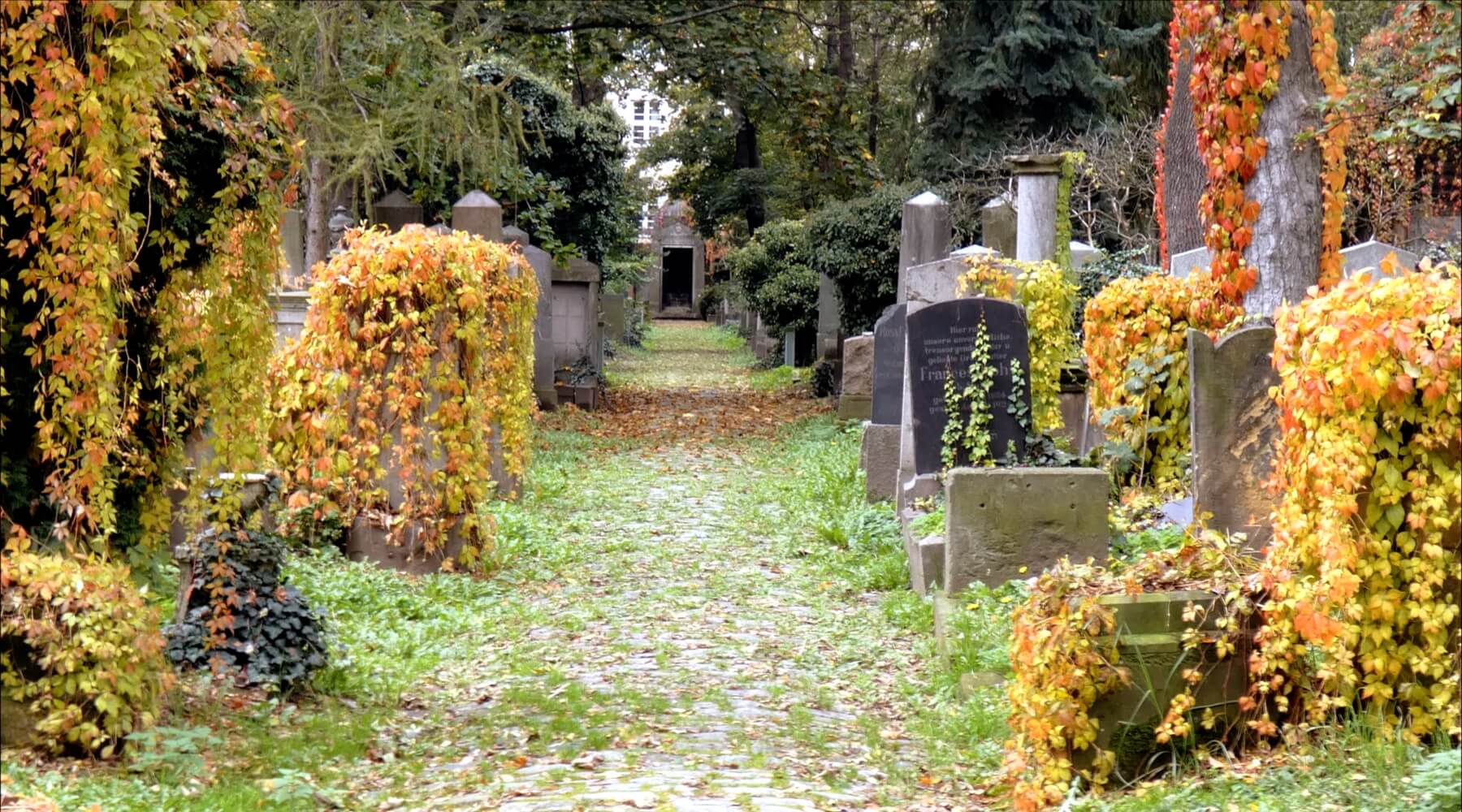 The Old Jewish Cemetery Guided Tour